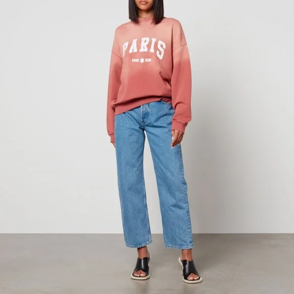 ANINE BING Jaci University Paris Cotton Sweatshirt in Washed Faded Terracotta - Picture 7 of 16